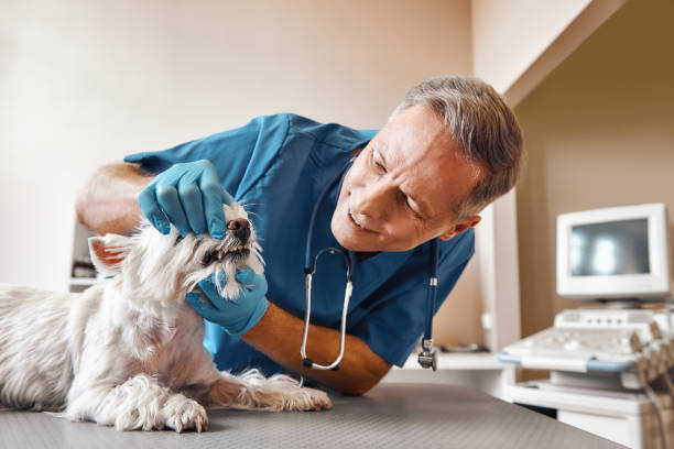 Best After-Hours Emergency Dentist in Wetumpka, AL